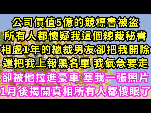 公司價值5億的競標書被盜，所有人都懷疑我這個總裁秘書，相處1年的總裁男友卻把我開除，還把我上報黑名單 我氣急要走，卻被他拉進豪車 塞我一張照片，1月後揭開真相所有人都傻眼了#甜寵#灰姑娘#霸道總裁