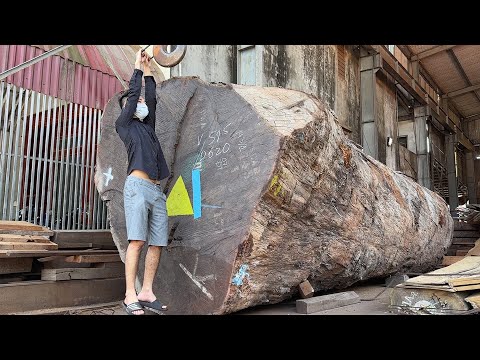 Wood Cutting Skill // 2500 Year Old Monster Of The Amazon Forest