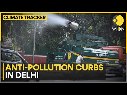 Delhi Pollution: GRAP III Curbs Amid ‘Severe’ AQI | WION Climate Tracker