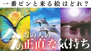 【今、この瞬間】あなた様への想い、印象・魅力💖今後どんなお2人になっていくのか。。徹底深堀りリーディングスタート！！#タロット#占い#相手の気持ち#恋愛