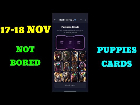 Not Bored Puppies Cards Today 17 - 18 November | Not Bored Puppies Airdrop Daily Combo