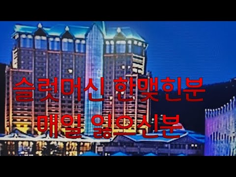 강원랜드 카지노 슬롯머신에 한맺힌분 자주잃으신분 바른길입니다 The right path for those who are addicted to slot machines