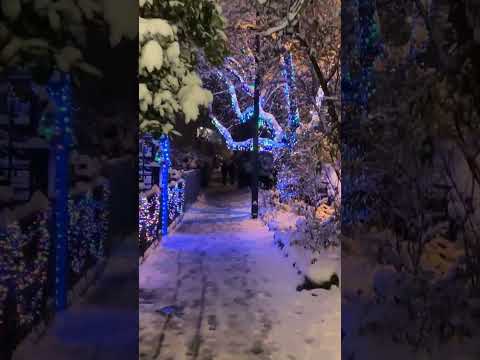 #snow #christmas #winter Video by WeStarMoney : https://www.pexels.com