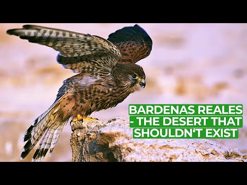 Bardenas Reales - Europe's Impossible Desert | Free Documentary Nature