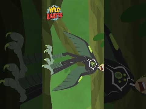 Activate Woodpecker Powers | Chris Loses Control on His Beak | Wild Kratts