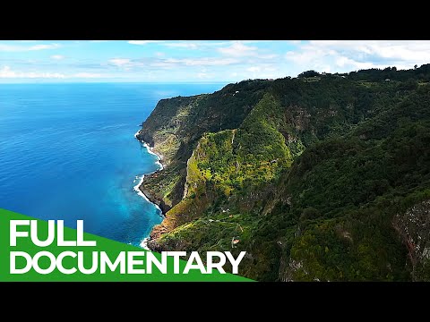 Wild Portugal: Madeira | Free Documentary Nature