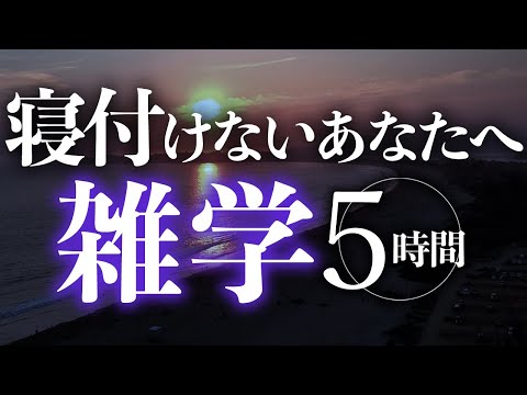 【睡眠導入】寝付けないあなたへ雑学5時間【合成音声】