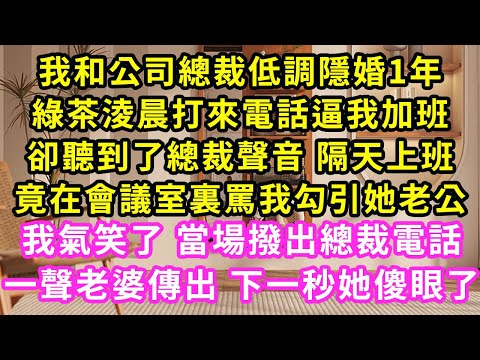 我和公司總裁低調隱婚1年，綠茶淩晨打來電話逼我加班，卻聽到了總裁聲音 隔天上班，竟在會議室裏罵我勾引她老公，我氣笑了 當場撥出總裁電話，一聲老婆傳出 下一秒她傻眼了#甜寵#灰姑娘#霸道總裁#愛情#婚姻