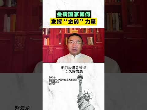 金砖国家如何发挥“金砖”力量？