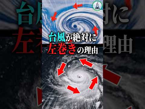 なぜ台風は必ず左巻きなのか？#科学 #ゆっくり解説 #雑学