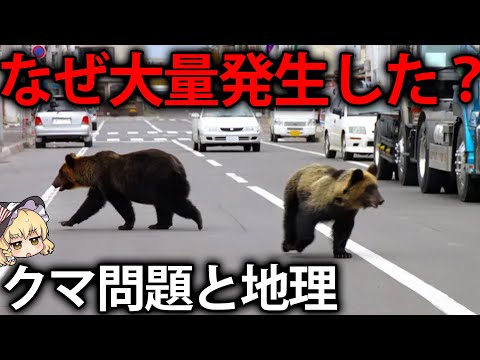 【ゆっくり解説】日本のクマ増加問題と地理