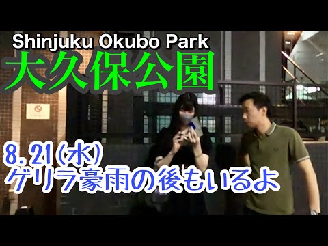 8月21日(水)都内ゲリラ豪雨後の大久保公園は…います「東京夜散歩」Updated on August23,2024.Shinjyuku Okubo Park