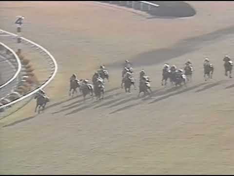 ヤマニンゼファー 1992年 第9回マイルチャンピオンシップ(GI) (優勝馬：ダイタクヘリオス)(実況：ラジオたんぱ)