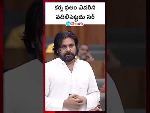 Pawan Kalyan: కర్మ ఫలం ఎవరినీ వదిలిపెట్టదు | HT Telugu #pawankalyan #apassembly #raghuramaraju