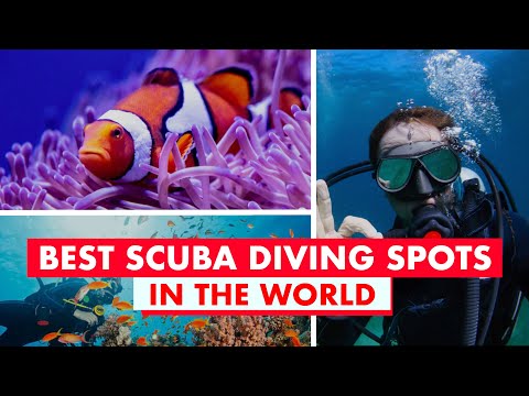 Top scuba diving spots