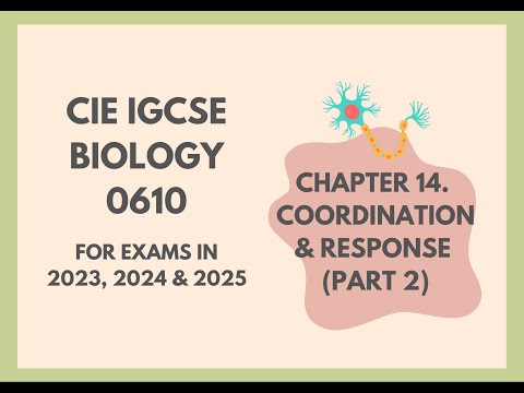 14. Coordination and response(Part 2)(Cambridge IGCSE Biology 0610 for exams in 2023, 2024 and 2025)