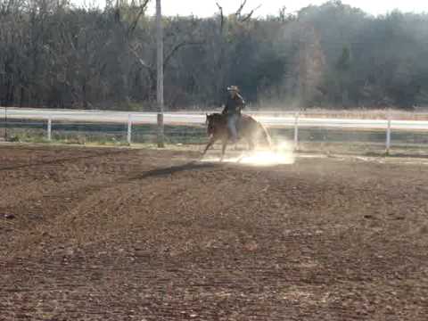 Ozzy  Bridle