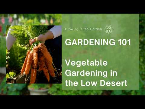 Desert Gardening 101: Growing Vegetables in Arizona (FULL CLASS)