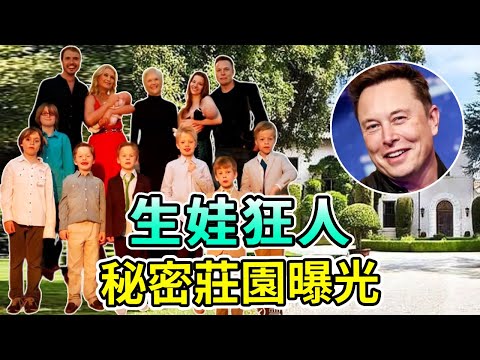 Why did Musk give birth to 11 babies? His explanation is very unique .... At the age of 53  he also