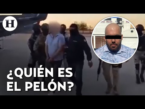 ¡Cae “El Pelón”! ¿Quién es el operador de Los Chapitos, coordinador de los ataques contra La Mayiza?