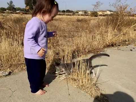 Amelia and kitty