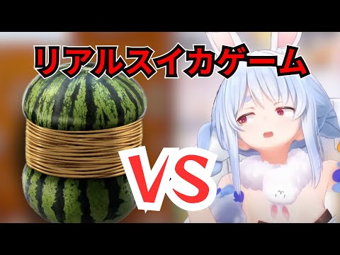 リアルスイカゲームをプレイするぺこら【ホロライブ/切り抜き/兎田ぺこら】