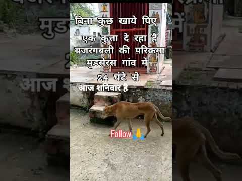 भगवान की भक्ति