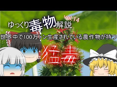 ゆっくり毒物vol.14　～リシン～