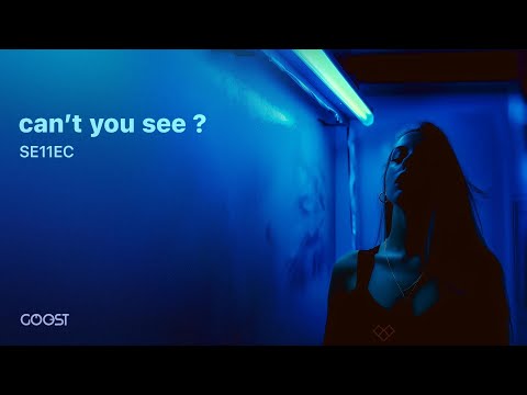 SE11EC - can't you see (Offical Audio)