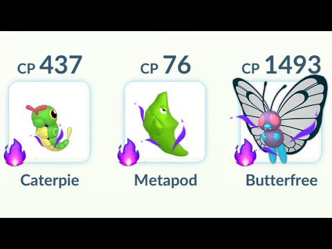 using Shadow (Caterpie, Metapod, Butterfree) Evolutionary Line in Pokemon GO.