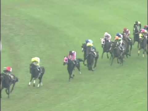 ジャングルポケット 2001年 第62回菊花賞(GI) (優勝馬：マンハッタンカフェ)