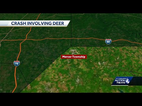 Crash involving deer in Butler County