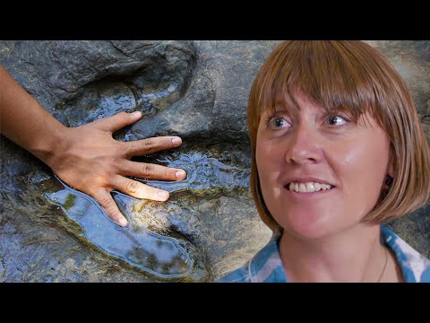 Excavating Mysterious Dinosaur Footprints! | Our History