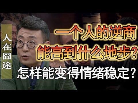 逆商比智商重要得多？怎樣才能讓自己情緒穩定？#窦文涛 #圆桌派 #人生感悟 #对白