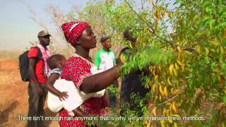 Green Treasure of the Sahel (short version)