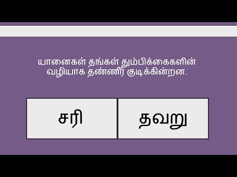 சரி அல்லது தவறு | True or False | 20 Questions