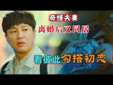 奇怪夫妻离婚后又同居，坐看彼此勾搭初恋！一口气看完爱情剧《最完美的离婚》#大鱼解说#车太贤