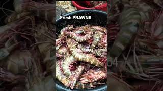 Fresh Prawns from the Ocean to Your Plate! #SeafoodLovers #FreshPrawns #SeafoodRecipe #HealthyEating