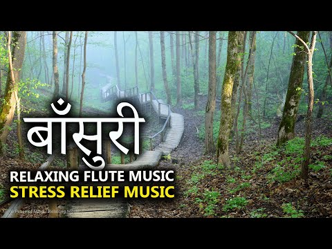 3 hours Beautiful Morning Flute Music l Morning Positive Energy Meditation l Relaxing Flute Music