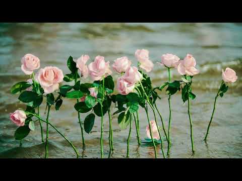 Love Never Fails | Soft piano music for relaxing, praying and meditating