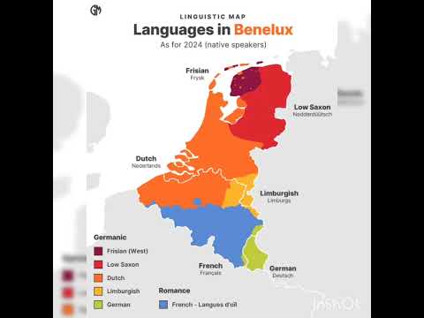 Languages of Benelux Countries! #map #belgium #netherlands #europe #language #youtubeshorts