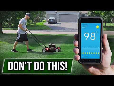 HOT WEATHER is Here! Do NOT Do These 5 Things With Your LAWN!!