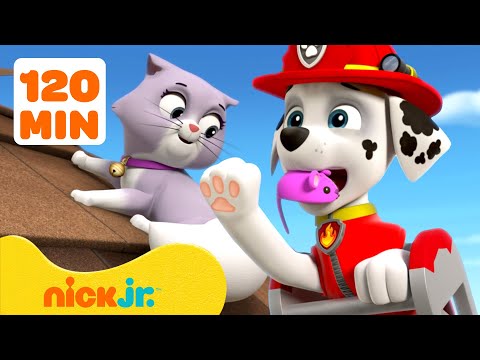 PAW Patrol Baby Animals Rescues & Adventures! w/ Marshall #3 🐱 2 Hours | Nick Jr.