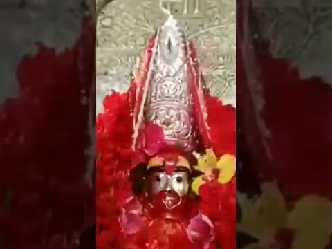 Joy maa tara || Maa tara temple tarapith #joymaatara #maakali #tarapith #temple #shorts #ytshort