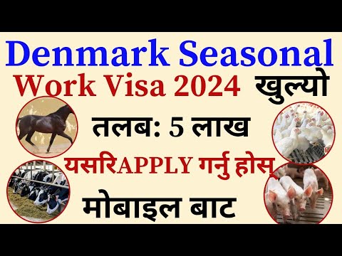 Denmark Seasonal Work Visa 2024 | How To Apply Denmark Seasonal Work Visa 2024 in Nepal | Denmark