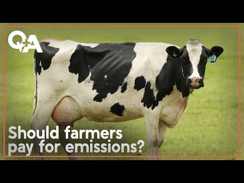 Fieldays: Should farmers pay for their emissions? | Q+A 2024