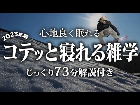 【睡眠導入】コテっと寝れる雑学【リラックス】とても深い睡眠へ招待します♪