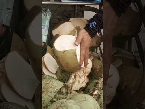 AMAZING COCONUT CUTTING SKILLS #satisfying #buko #bukojuice #streetfood #youtubeshorts #Gatchie Jr