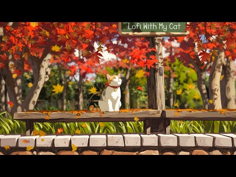 Red Maple 🍁 Healing music for relaxation 🐾🎶 Lofi cat music ~ Lofi autumn || Lofi With My Cat