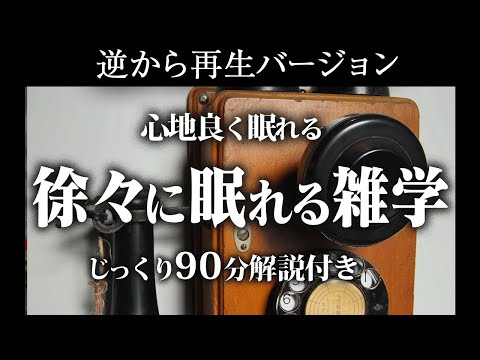 【逆から再生】気になるけど眠たくなっちゃう雑学【リラックス】じっくり90分解説付き♪